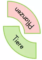 Vorschau - Fördermaterial/Inklusion - Frühling: Legekreis zur Leseförderung - Seite 3