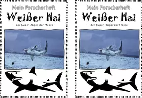 Vorschau - Arbeitsblätter - Forscherheft Weißer Hai I Ozeane I Meere - Seite 2