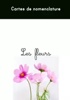 Aperçu - Cartes / Images - Cartes de Nomenclature fleurs - Page de couverture