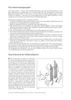 Vorschau - Mal- und Bastelvorlagen - Kommt her zur Krippe - Seite 3