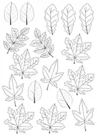 Vorschau - Mal- und Bastelvorlagen - Herbstblätter Formenvorlage/Druckvorlage für Fensterdeko - Seite 1