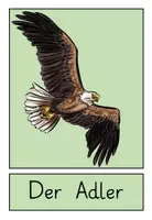 Vorschau - Arbeitsblätter - Lernplakate zum Thema Vögel - Seite 2