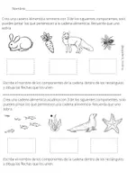 Vista previa - Evaluación - Cadena alimenticia - Portada
