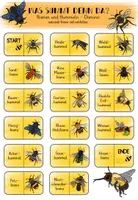 Vorschau - Spiele - Bienen und Hummeln - Domino - Deckblatt