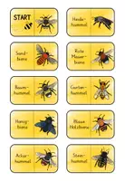 Vorschau - Spiele - Bienen und Hummeln - Domino - Seite 2