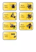 Vorschau - Spiele - Bienen und Hummeln - Domino - Seite 3