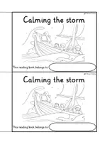 Vista previa - Unidades / Secuencias / Situaciones de Aprendizaje - Reading book Miracle of Jesus Calms the Storm I Bible Story / Bible Lesson Religion English / Inglés AmE - página 1