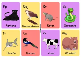 Aperçu - Cartes / Images - Fiches d'apprentissage de l'alphabet espagnol! - Page 3