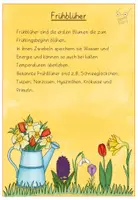 Vorschau - Arbeitsblätter - Frühblüher Material Klasse 2 - Seite 2