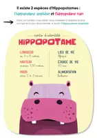 Aperçu - Apprentissages en autonomie - TU SAVAIS PAS ? N°49 Que l'hippopotame est le cousin de la baleine ! - Page 2