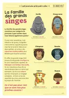 Aperçu - Jeux - TU SAVAIS PAS ? N°45 Que King Kong a vraiment existé ! - Page 2