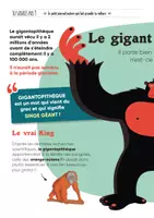 Aperçu - Jeux - TU SAVAIS PAS ? N°45 Que King Kong a vraiment existé ! - Page 3