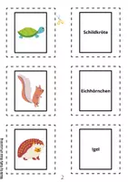 Vorschau - Spiele - Merk es dir - Tiere - spielerisch Deutsch lernen (auch als Wortkarten/Vokabelkarten nutzbar) - Seite 2