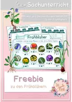 Vorschau - Arbeitsblätter - FREEBIE Frühblüher - Deckblatt