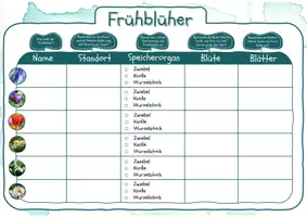Vorschau - Arbeitsblätter - FREEBIE Frühblüher - Seite 1