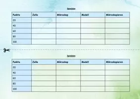 Vorschau - Spiele - Wissensspiel zum Thema: Mikroskop, Zelle, Modell - Seite 3