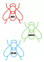 Vista previa - Tarjetas / Manipulativos - COLOUR FLY SWAT - página 2