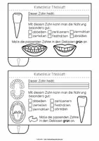 Vorschau - Unterrichtsreihen - Flipbook | Unsere Zähne - Seite 1