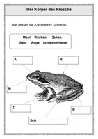 Vorschau - Arbeitsblätter - Der Frosch 1. Klasse - Seite 3