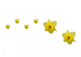 Vorschau - Unterrichtsreihen - Immer wieder kommt ein neuer Frühling - Melodieverlauf und Bildkarten - Seite 2