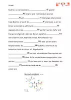 Vorschau - Arbeitsblätter - Der Körper im Stress - Aufgaben Grafik Lösung - Seite 3