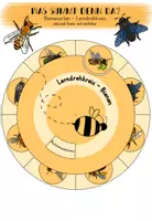 Vorschau - Mal- und Bastelvorlagen - Bienenarten - Lerndrehscheibe - Deckblatt