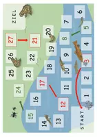 Vorschau - Spiele - Brettspiel zum Thema Metamorphose Grasfrosch - Seite 1