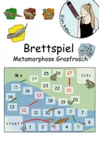 Vorschau - Spiele - Brettspiel zum Thema Metamorphose Grasfrosch - Deckblatt