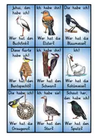 Vorschau - Unterrichtsreihen - Legespiel / Lesespiel zum Thema Vögel - Seite 3