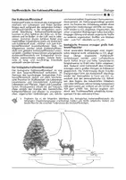 Vorschau - Arbeitsblätter - Kohlenstoffkreislauf - Arbeitsblatt inkl. Lösungen - Seite 2