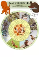Vorschau - Präsentationen/Tafelbilder - Eichhörnchen - Legekreis - Deckblatt