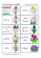 Aperçu - Matériel pour travaux manuels / dessin - flores de primavera DOMINO Español / Espagnol - Page 1