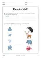 Vorschau - Arbeitsblätter - Arbeitsblatt »Die Tiere im Wald« - Deckblatt