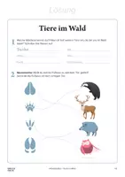 Vorschau - Arbeitsblätter - Arbeitsblatt »Die Tiere im Wald« - Seite 2