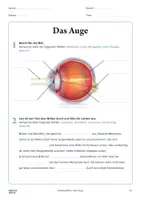 Vorschau - Arbeitsblätter - Arbeitsblatt »Das Auge« - Deckblatt