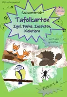 Vorschau - Unterrichtsreihen - Materialpaket Igel Lapbook inklusive Bildkarten - Seite 1