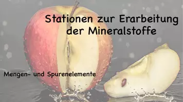Vorschau - Stationenlernen - Stationen zur Erarbeitung der Mineralstoffe - Seite 3