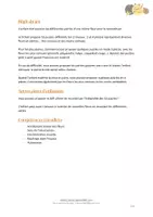 Aperçu - Jeux - Puzzles - Fleurs pour le printemps - Page 2