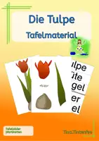 Vorschau - Poster - Frühblüher - Die Tulpe - Tafelbild Wortkarten - Deckblatt