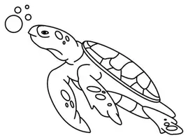 Aperçu - Matériel pour travaux manuels / dessin - Coloriage Tortue - Page de couverture