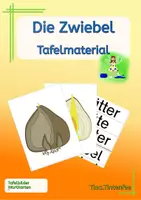 Vorschau - Präsentationen/Tafelbilder - Frühblüher - Die Zwiebel - Tafelbild Wortkarten - Deckblatt