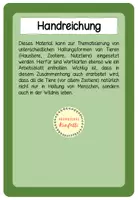 Vorschau - Arbeitsblätter - Zootiere, Haustiere, Nutztiere (Haltungsformen von Tieren) - Seite 1