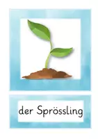 Vista previa - Otros - Alemán: Frühlings-und Osterwörter (Wort-Bild-Karten) - página 1