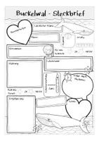 Aperçu - Apprentissages en autonomie - BUCKELWAL Steckbrief deutsch / allemand Biologie / bilingualer Unterricht - Page 1