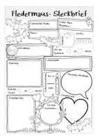 Aperçu - Apprentissages en autonomie - FLEDERMAUS Steckbrief deutsch / allemand Biologie / bilingualer Unterricht - Page 1