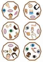 Vorschau - Spiele - Picture match: Body parts (3. Klasse) Playway - Seite 1