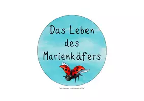 Vorschau - Spiele - Legekreis Der Lebenszyklus des Marienkäfers - Seite 1