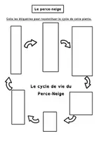 Aperçu - Feuilles d'exercices - bulbe : cycle du perce-neige - Page 2