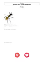 Vorschau - Arbeitsblätter - Symbiose Stellenanzeige - Deckblatt