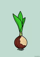 Vorschau - Arbeitsblätter - Die Tulpe: Aufgabenkarten, Bildmaterial, Kommentar - Seite 3